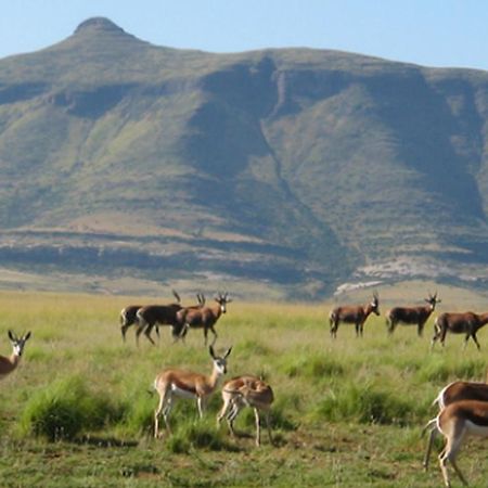 Moolmanshoek Private Game Reserve Hotel Ficksburg Eksteriør billede
